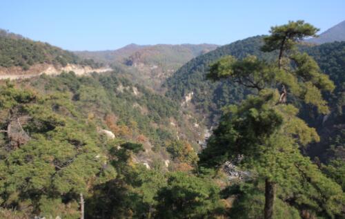 濟南林業(yè)局森林防火預警監(jiān)控系統(tǒng)案例