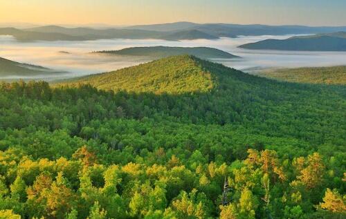 大興安嶺森林防火預警監(jiān)控設備采購項目